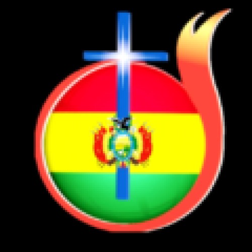 iddbolivia.com Image