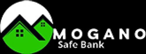 moganosafebank.com Image