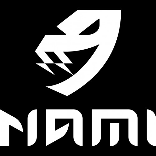 nami-electric.com Image