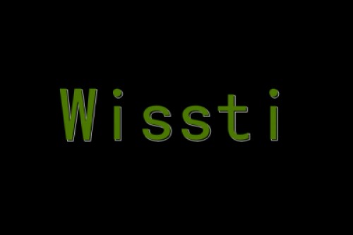 wissti.com Image