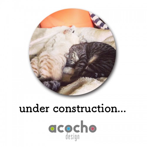 acocho.com Image