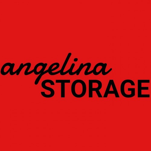 angelinastorage.com Image