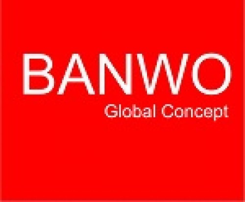 banwoglobal.com Image