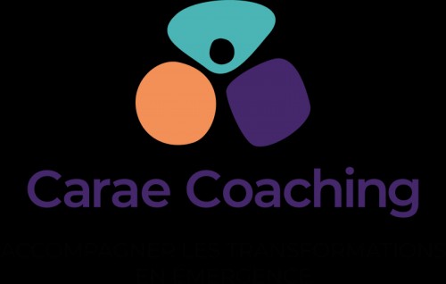 carae-coaching.com Image