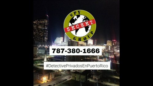 detectiveprivadoenpuertorico.com Image