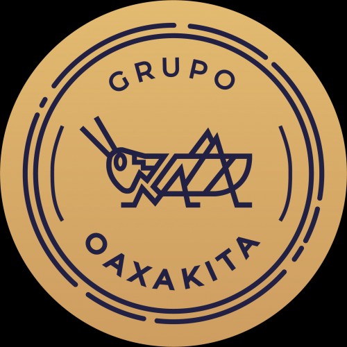 grupooaxakita.com Image