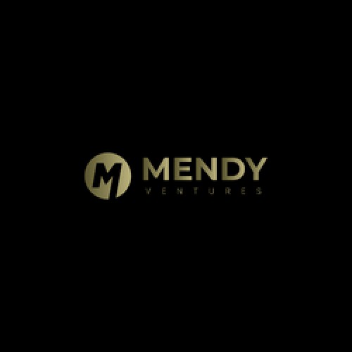 mendyventures.com Image