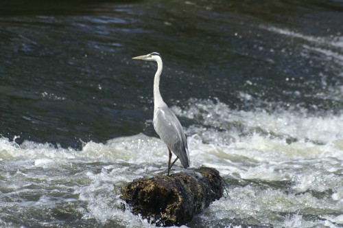 observer.nrw Image