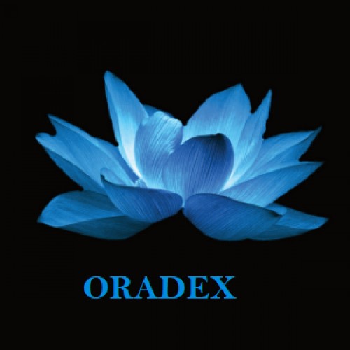 oradexgroup.com Image
