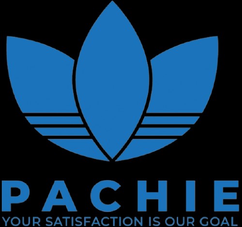 pachie.biz Image