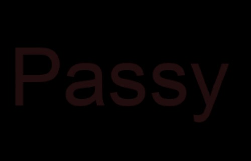 passy.net Image