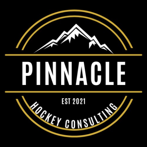 pinnaclehockeyconsulting.com Image