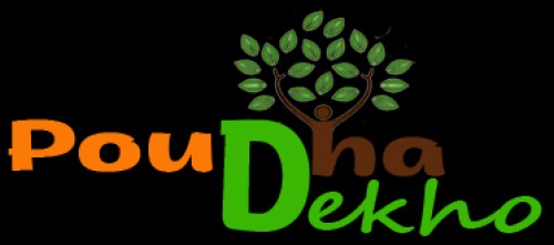 poudhadekho.com Image