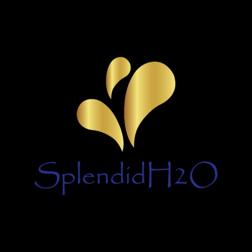 splendidh20.com Image