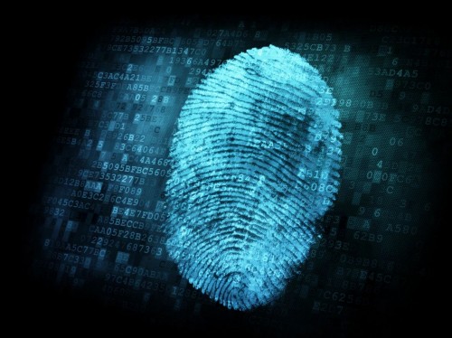 1fingerprint.com Image