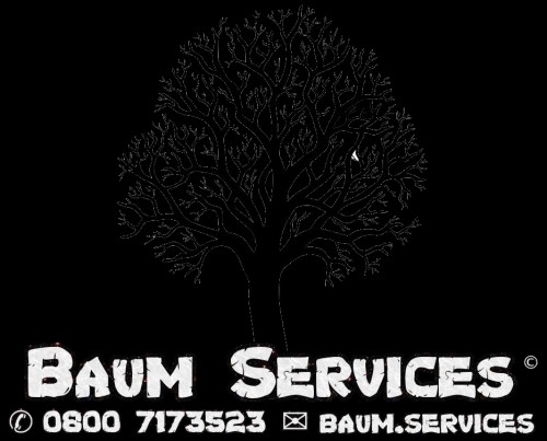 baum.services Image