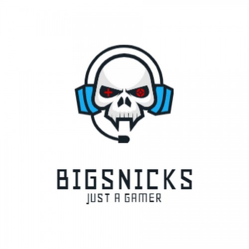 bigsnicks.com Image