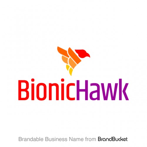 bionichawk.com Image