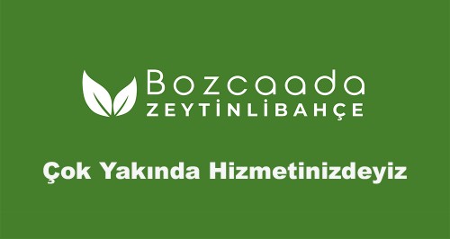 bozcaadazeytinlibahce.com Image