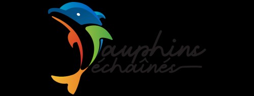 dauphins-dechaines.com Image