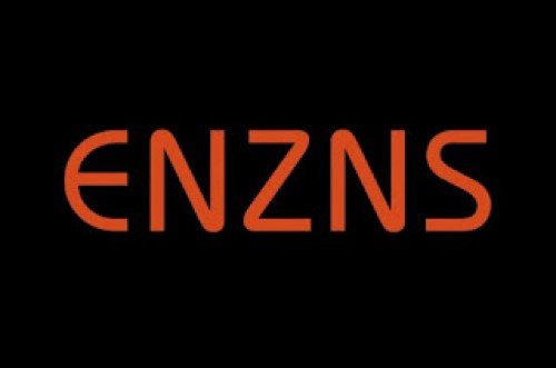 enzns.com Image