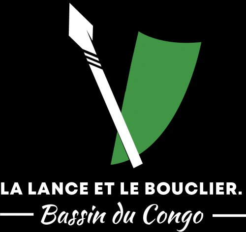 lancebouclierdubassincongo.com Image