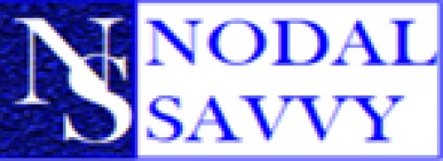 nodalsavvy.com Image