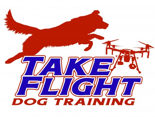 takeflightdogtraining.com Image