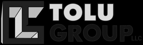 tolugroup.com Image