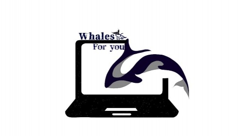 whalesforyou.com Image