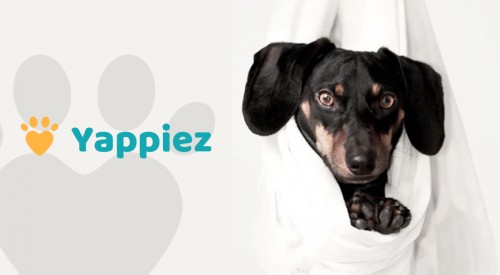 yappiez.dog Image