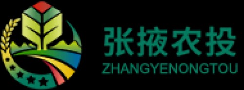 zynongtou.com Image